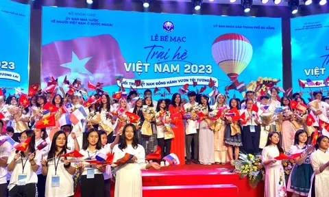 Trại hè Việt Nam 2023: Hãy giữ liên hệ để khoảng cách không còn là trở ngại
