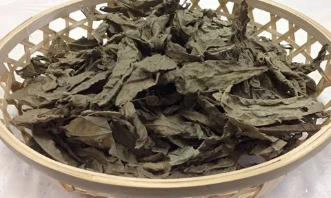 Tác dụng khó tin của loài cây mọc hoang ở Việt Nam, Trung Quốc