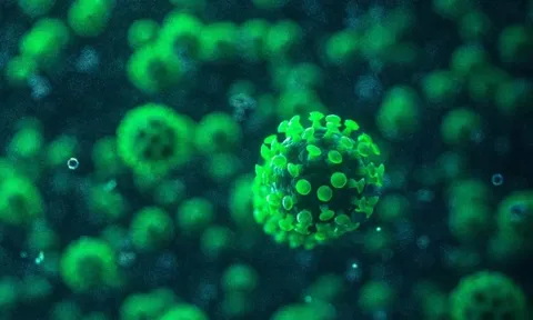 CDC Mỹ: Biến chủng COVID-19 mới EG.5 dần chiếm lĩnh