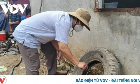 Hà Nội ghi nhận gần 500 trường hợp mắc sốt xuất huyết trong một tuần