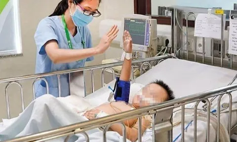 Cách sơ cứu khi trẻ bị rắn cắn, cha mẹ không nên bỏ qua