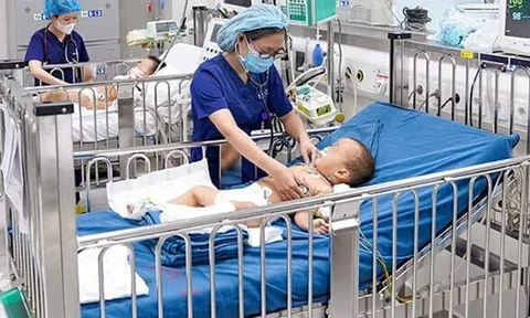 Cẩn trọng trong mùa rắn sinh sôi