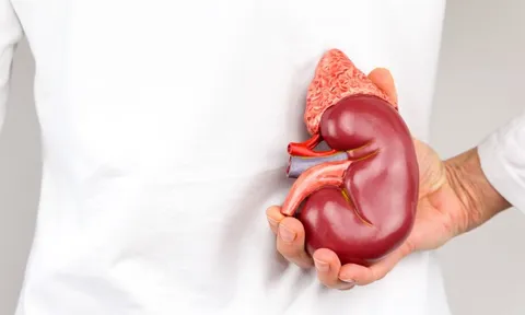 Thận khỏe hay yếu cứ nhìn 4 điểm bất thường này trên cơ thể, có 1 dấu hiệu cũng cần đi khám ngay