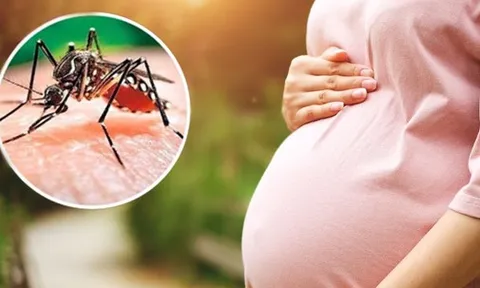 Sốt xuất huyết tại Hà Nội sắp vào đỉnh dịch: Cha mẹ nên ghi nhớ những biểu hiện cảnh báo ở trẻ