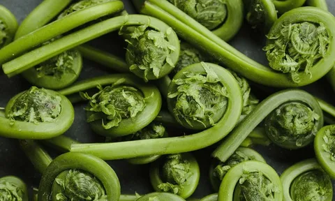 Loại cây mọc bờ bụi, tưởng bỏ đi nhưng lại là món ngon chứa đầy dưỡng chất quý