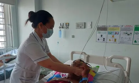 Một người tử vong, hai người nhập viện nghi do ăn cá nóc