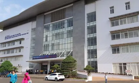 5 người co giật, nôn ói sau khi ăn cà độc dược