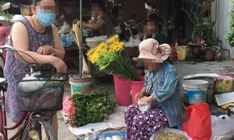 “Không mua thảo dược như bà nội trợ mua rau”