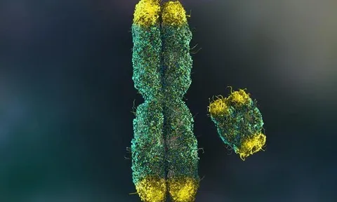 Đột phá từ 100 nhà khoa học: Giải mã bí ẩn lớn nhất của quý ông