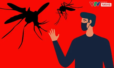 Sốt xuất huyết diễn biến phức tạp - Vì sao khó dập dịch?