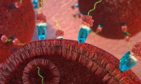 Đột phá: Tìm ra cách đảo ngược sự phát triển của ung thư