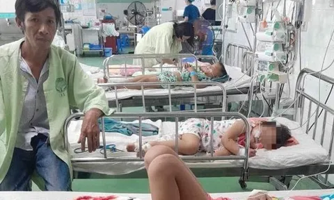 Quảng Nam: Bốn mẹ con bị đàn ong vò vẽ đốt phải nhập viện