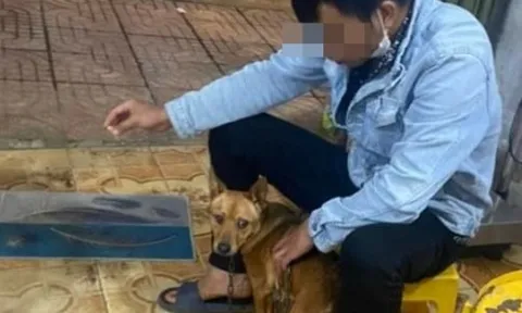 Người đàn ông tử vong sau 3 tháng bị mèo cắn