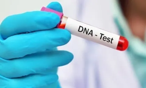 Người mẹ trẻ giả câm điếc, cầu xin đổi kết quả ADN để con trai nhận bố giàu có