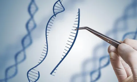 Bố thấy con tính cách khác mình, quyết xét nghiệm ADN: Kết quả đầy đau xót