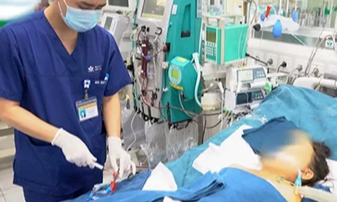 Bé trai tử vong vì ong vò vẽ đốt hơn 100 nốt trên đường đi học