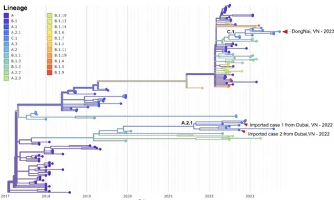 Ca đậu mùa khỉ vừa ghi nhận tại TP HCM: Đã có kết quả giải mã gien