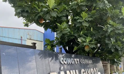 Givral nói về việc cháu bé 6 tuổi tử vong nghi ngộ độc vì ăn bánh su kem