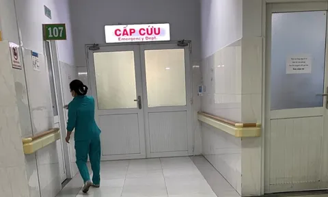 TP Hồ Chí Minh: Tập trung nguồn lực điều trị cho bệnh nhân ngộ độc thực phẩm tại chung cư Palm Heights