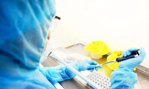 Ca bệnh đậu mùa khỉ mang kiểu gen mới