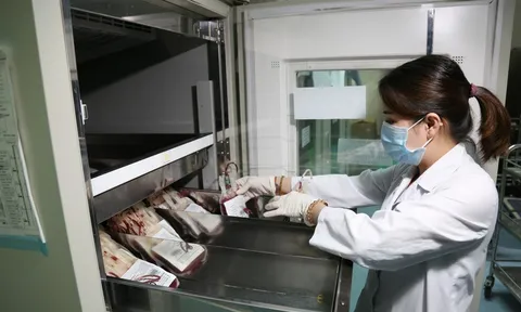 Nhu cầu máu điều trị tăng, kêu gọi người dân đủ sức khỏe hiến máu nhóm A