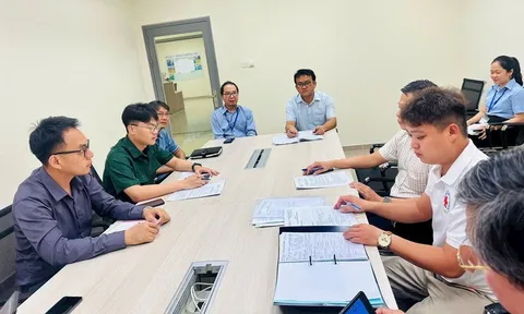 Bình Dương phát hiện ca mắc đậu mùa khỉ thứ 2