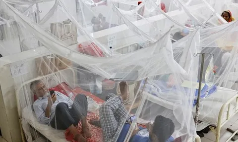 Hiểm họa sốt xuất huyết đang lan rộng trên thế giới