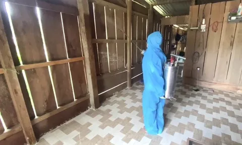 Bộ Y tế: Số ca mắc sốt rét tăng hơn 10% so với cùng kỳ năm 2022