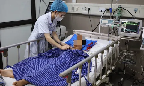 Bắt rắn chơi, bé trai 7 tuổi bị rắn độc cắn nguy kịch