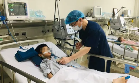 Hà Nội ghi nhận hai ca mắc viêm não Nhật Bản