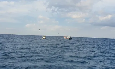 Một ngư dân ở Bình Định tử vong do bị nhiễm trùng huyết