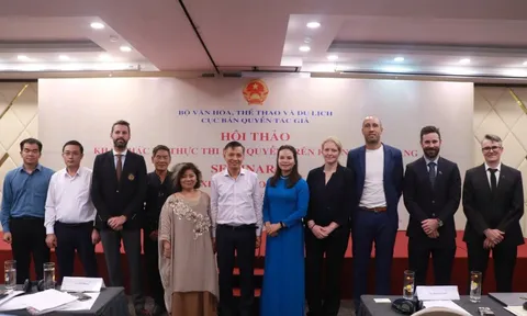 Mức độ vi phạm bản quyền Giải Ngoại hạng Anh tại Việt Nam