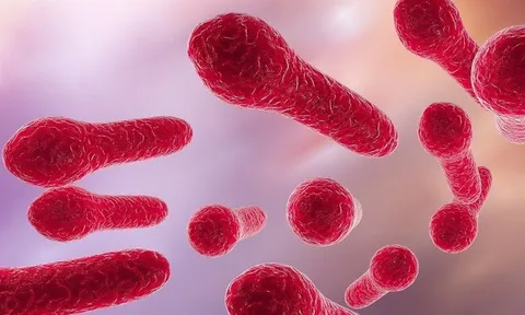 Hà Nội đã có 2 ca tử vong do mắc uốn ván