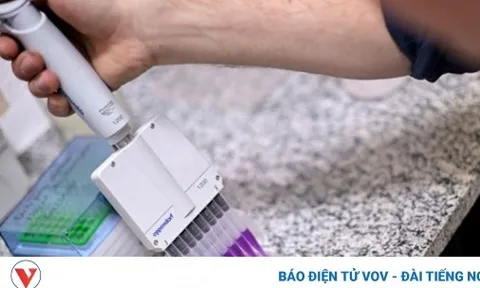 Brazil phát triển vaccine chống nghiện cocaine