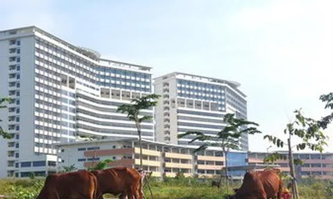 Bệnh nhân thiếu chỗ nằm, bệnh viện nghìn tỷ xây mãi chưa xong