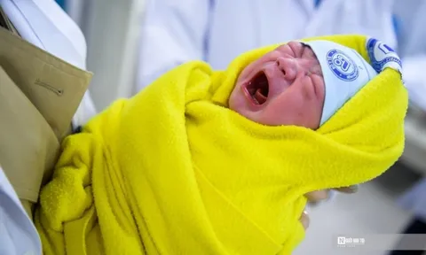 Thứ trưởng Y tế: Việt Nam là quốc gia có tỉ lệ vô sinh cao