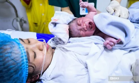 Mức sinh thấp, đề xuất hỗ trợ bằng tiền và miễn giảm học phí