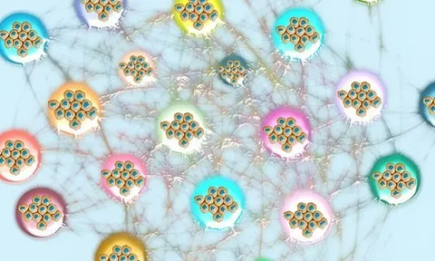 Phát hiện đột phá giúp dự đoán 32 loại ung thư