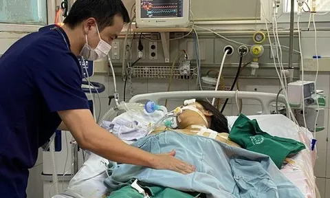 Hà Nội phát hiện thêm tuýp virus gây bệnh sốt xuất huyết