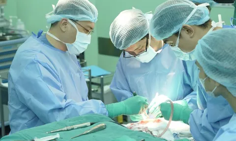 Kỹ thuật mới mở lối chữa động kinh