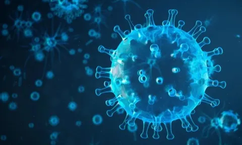 Cúm độc lực cao tái xuất ở Campuchia, 1 bệnh nhân đã tử vong