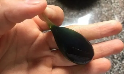 Cụ bà ngộ độc nặng, phải lọc máu vì nuốt mật cá trắm nấu chín tới