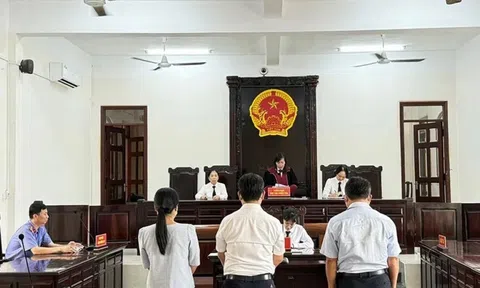 Đồng Nai: Nguyên Tổng Giám đốc Công ty Phú Việt Tín được hưởng án treo