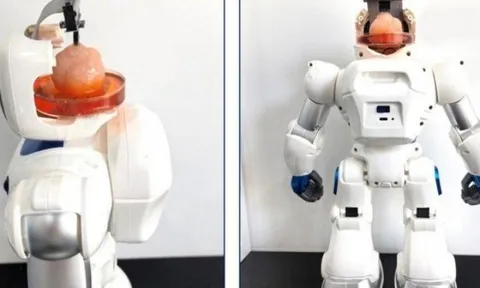 Robot có bộ não được tạo ra từ tế bào con người