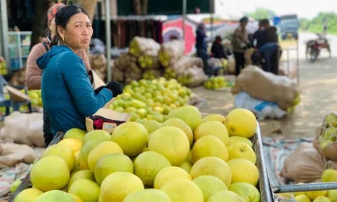 Độc đáo phiên chợ 'đệ nhất danh quả' nức tiếng Hà Tĩnh