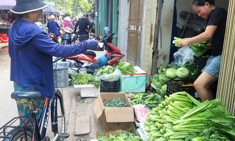 Người tiêu dùng ở Hà Nội ngóng ngày hết "giật mình" vì giá rau xanh