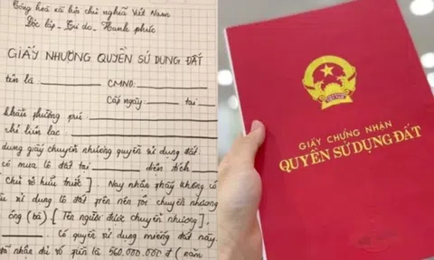 Những giấy tờ cần chuẩn bị để được cấp mới sổ đỏ theo Luật đất đai 2024 người dân cần biết