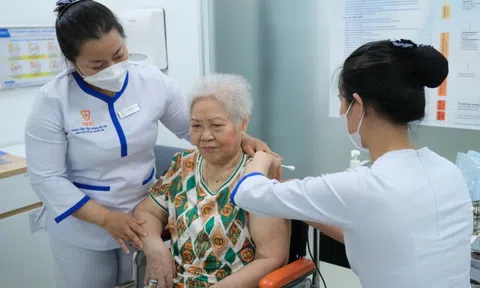 Triển khai tiêm vaccine Zona tại Việt Nam