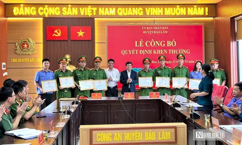 Lâm Đồng khen thưởng đột xuất lực lượng điều tra vụ án khai thác gỗ quý trái phép