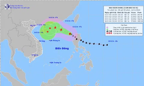 Bão số 8 giật cấp 12 tiến vào Biển Đông